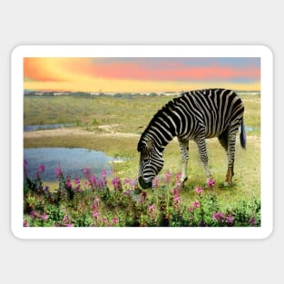 Sunset Zebra art. Wild African animals Sticker